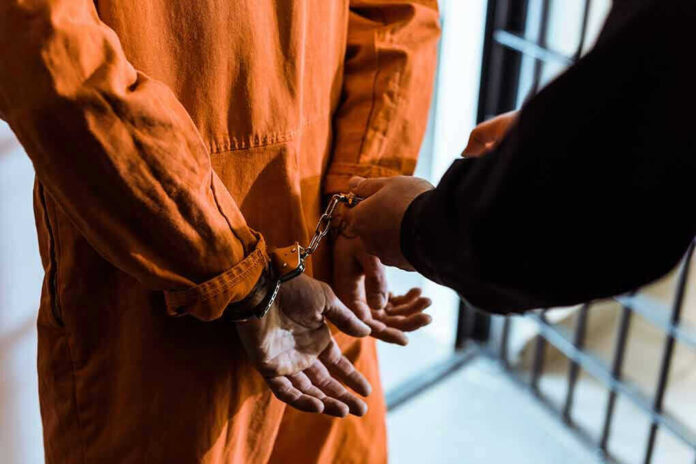 1036220185 Handcuffed person in orange jumpsuit being escorted