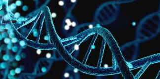 dna structure