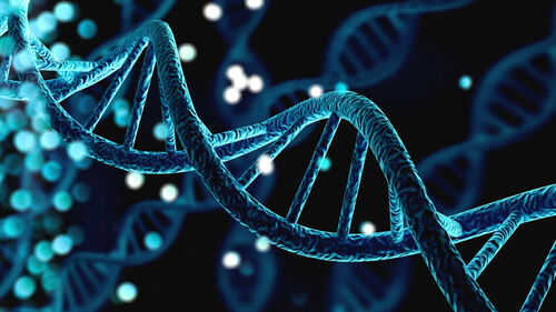 dna structure