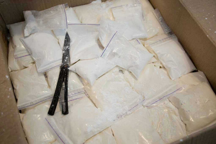 Bags of white powder with scissors in cardboard box