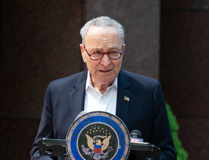 shutterstock_1727668180.jpg schumer