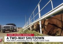 Flesh-Eating Fly Returns — Texas on Edge Border Battle: The Long-Term Impact of New World Screwworm and Drought’s Lasting Impact