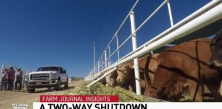 Border Battle: The Long-Term Impact of New World Screwworm and Drought’s Lasting Impact