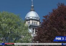 Illinois Tech Tax Faces Cost Rule Analysis Illinois lawmakers pass record $56B budget with new taxes, spending