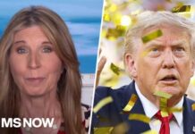 ‘CLASSIC Donald Trump’: Nicolle reacts to AWKWARD Trump hogging stage at World Cup trophy ceremony