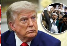 Red Sea Shipping Faces New Uncertainty Watch Trump's Response to a Possible Houthi Red Sea Blockade: "We Take Care of Things"