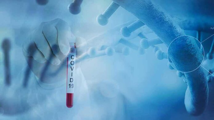 shutterstock_1644575920 Gloved hand holding a COVID-19 test tube beside a stylized DNA helix