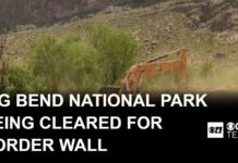 Bulldozers Hit Park — CBP Slams Brakes Federal contractors begin to clear out land at Big Bend National Park for border wall