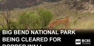 Federal contractors begin to clear out land at Big Bend National Park for border wall