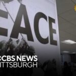 Pentagon moves to fire publisher and editor of Stars and Stripes