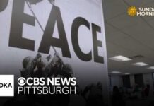 Pentagon moves to fire publisher and editor of Stars and Stripes