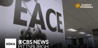 Pentagon moves to fire publisher and editor of Stars and Stripes