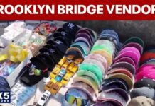 Child Vendors: Illegal Brooklyn Bridge Vendors Return Too many vendors on the Brooklyn Bridge?