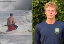 Lifeguard in viral Santa Cruz surf rescue gains recognition as officials highlight beach safety