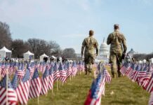 Dead Grass Sparks National Mall Vandalism Debate Two soldiers walk among American flags toward the U.S. Capitol