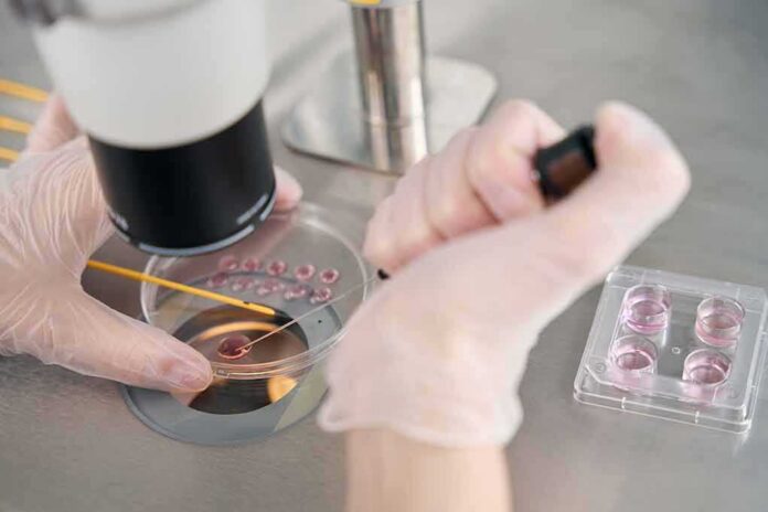 shutterstock_2260502569 Gloved hands manipulating samples under a microscope in a petri dish