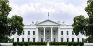 The White House with fountain and red flower bed