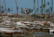 Tilted house amid widespread coastal destruction with palm trees
