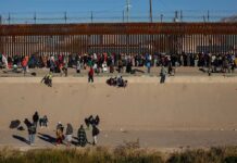 Crowd of people gathered along a tall border fence