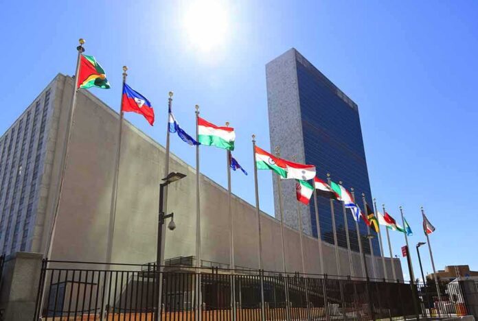 shutterstock_257333197 United Nations headquarters with member flags under bright sun