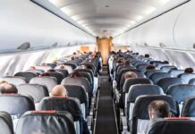 Tourist Blames Missing Warnings in Monk Seal Case Airplane cabin with passengers seated in rows