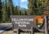 Dashcam Captures Bison Slamming Into Truck Yellowstone National Park entrance sign beside a forested road