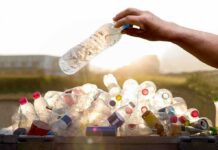 hand placing a plastic bottle into a bin of empty bottles