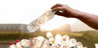 hand placing a plastic bottle into a bin of empty bottles